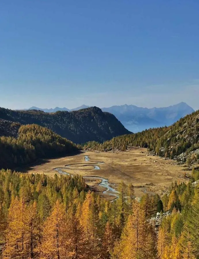 Bed & Breakfast B & B Il Sottobosco Val Masino