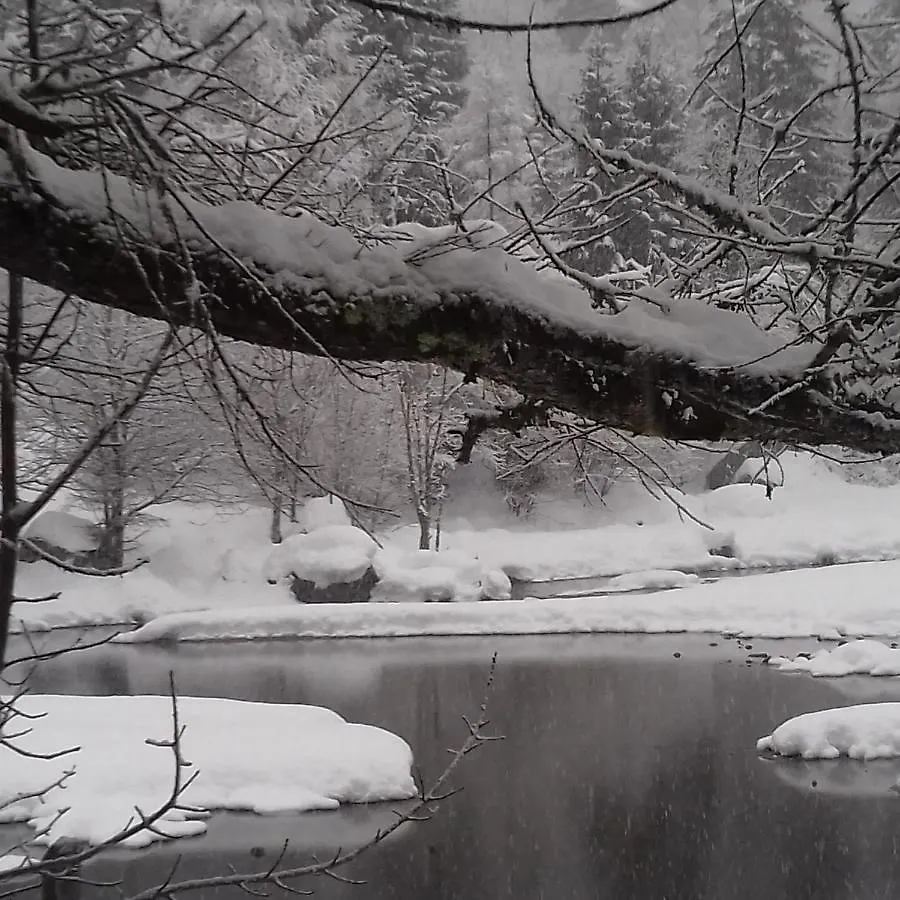 Bed & Breakfast B & B Il Sottobosco Val Masino
