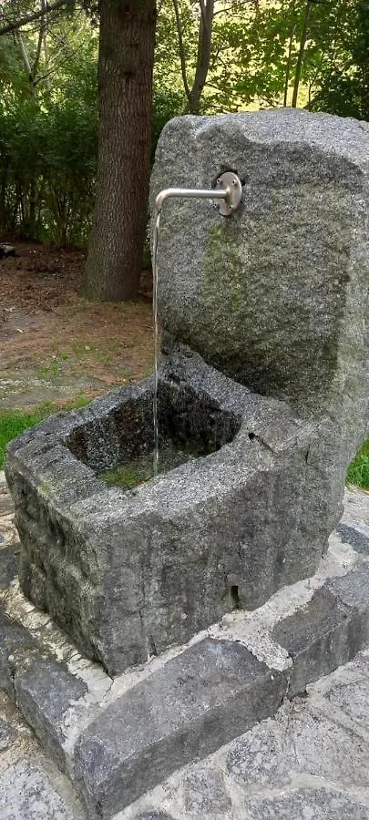 B & B Il Sottobosco Val Masino